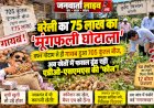 'मूंगफली' खा गए अधिकारी और नेता, अब खेतों में फसल ढूंढ रही एडीओ-एसएमएस की 'फौज'!